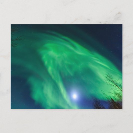 Aurora Borealis Noorderlicht | Fairbanks Briefkaart (Voorkant)