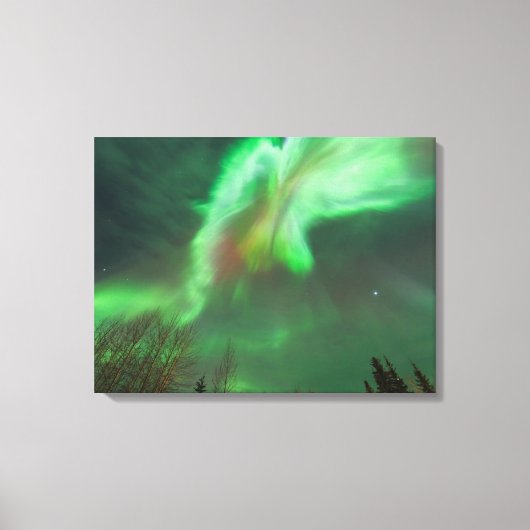 Aurora Borealis Noorderlicht | Fairbanks Canvas Afdruk (Voorkant)
