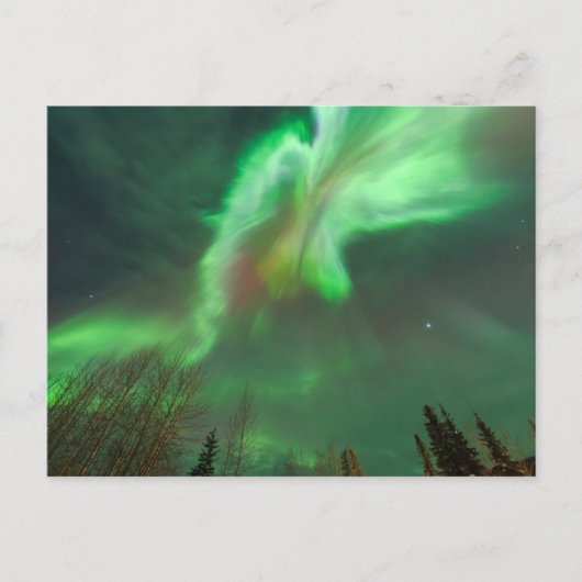 Aurora Borealis Northern Lights | Fairbanks Briefkaart (Voorkant)