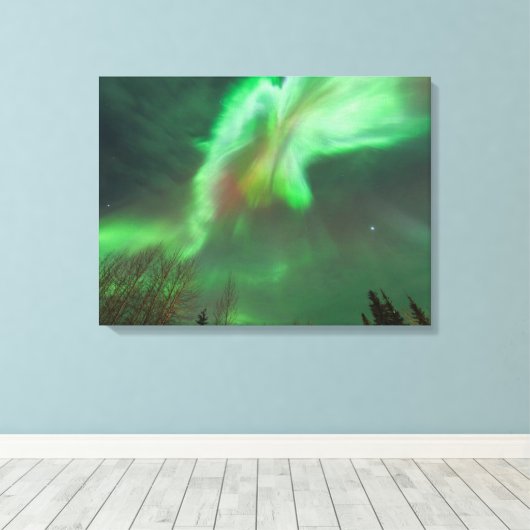 Aurora Borealis Northern Lights | Fairbanks Canvas Afdruk (Insitu (Houten vloer))