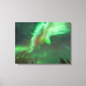 Aurora Borealis Northern Lights | Fairbanks Canvas Afdruk (Voorkant)