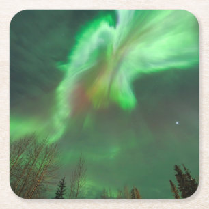 Aurora Borealis Northern Lights   Fairbanks Kartonnen Onderzetters