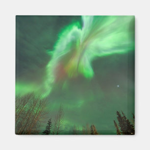 Aurora Borealis Northern Lights   Fairbanks Magneet