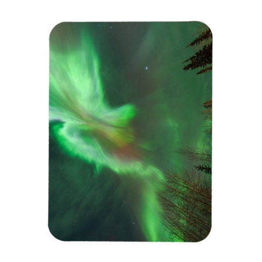 Aurora Borealis Northern Lights | Fairbanks Magneet (Verticaal)