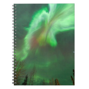 Aurora Borealis Northern Lights   Fairbanks Notitieboek