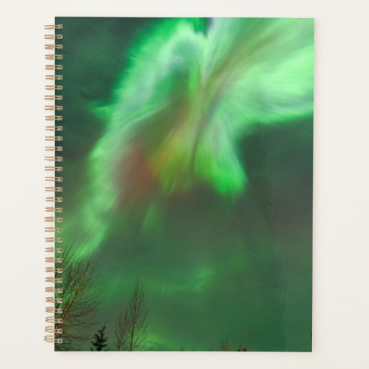 Aurora Borealis Northern Lights | Fairbanks Planner (Voorkant)