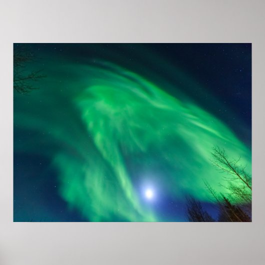 Aurora Borealis Northern Lights | Fairbanks Poster (Voorkant)