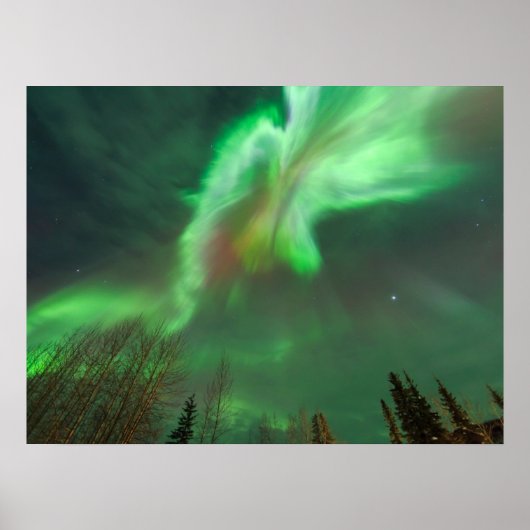 Aurora Borealis Northern Lights | Fairbanks Poster (Voorkant)