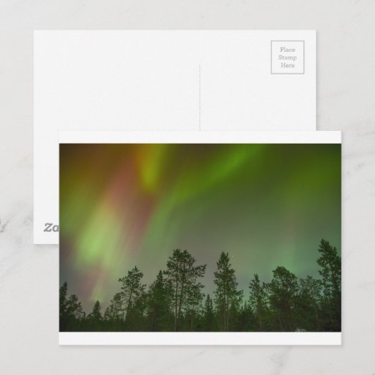 Aurora Borealis Northern Lights Skies Glow Sparkle Briefkaart (Voorkant / Achterkant)