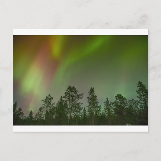 Aurora Borealis Northern Lights Skies Glow Sparkle Briefkaart (Voorkant)