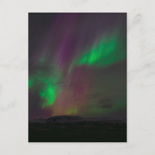 Aurora Borealis Northern Lights Trees Natuur Lande Briefkaart