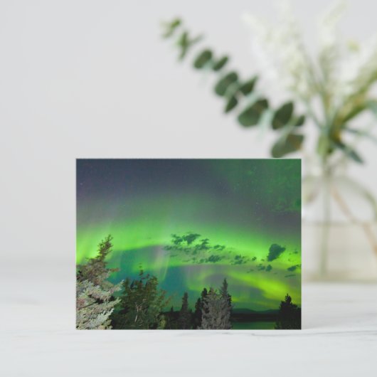 Aurora borealis over boreale bossen briefkaart (Staand voorkant)
