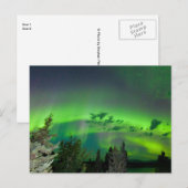 Aurora borealis over boreale bossen briefkaart (Voorkant / Achterkant)