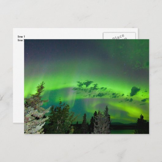 Aurora borealis over boreale bossen briefkaart (Voorkant / Achterkant)