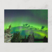 Aurora borealis over boreale bossen briefkaart (Voorkant)