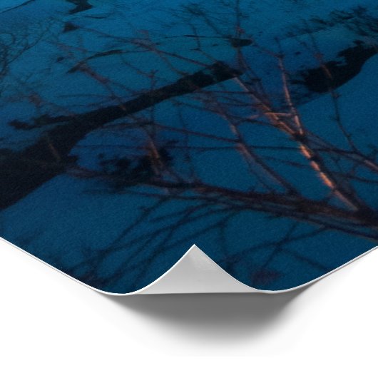 Aurora borealis over de zee kust, sneeuwberg poster (Hoek)