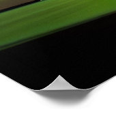 Aurora Borealis over Hammond Bay Michigan Poster (Hoek)