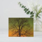Aurora Borealis & Populier Briefkaart (Staand voorkant)