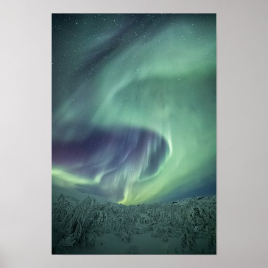 Aurora Borealis Poster (Voorkant)