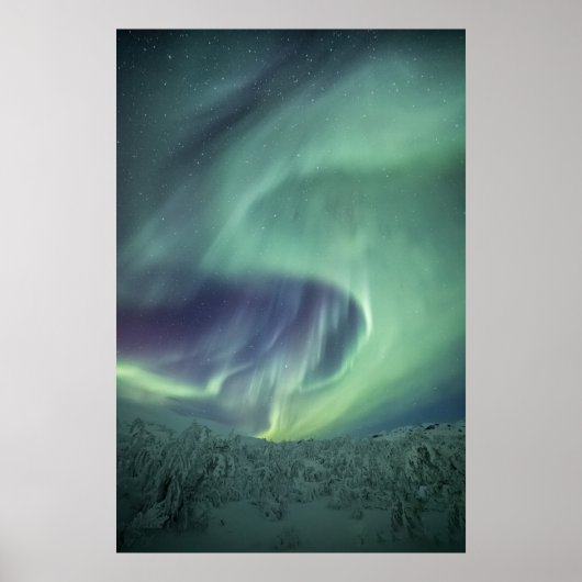Aurora Borealis Poster (Voorkant)