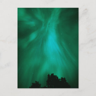 Aurora Borealis 's Nachts   Ontario, Canada Briefkaart
