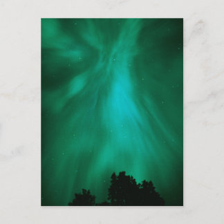 Aurora Borealis 's Nachts | Ontario, Canada Briefkaart