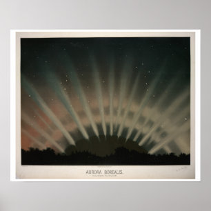 Aurora Borealis van de boomgaard Poster