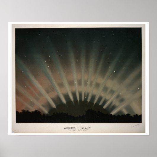 Aurora Borealis van de boomgaard Poster (Voorkant)