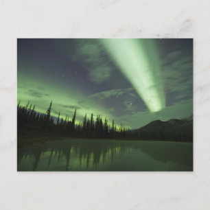 Aurora borealis wordt weerspiegeld in toendra vijv briefkaart