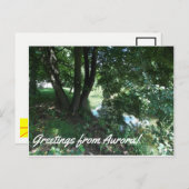 Aurora Briefkaart (Voorkant / Achterkant)