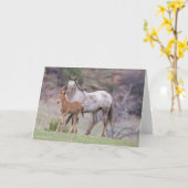 Aurora & Filly-Galloping naar Freedom Wenskaart Kaart (Gele Bloem)