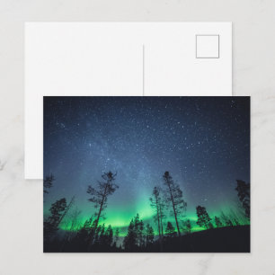Aurora Forest Briefkaart