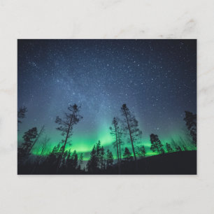 Aurora Forest Briefkaart