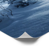 Aurora Herten Noorderlicht Poster (Hoek)