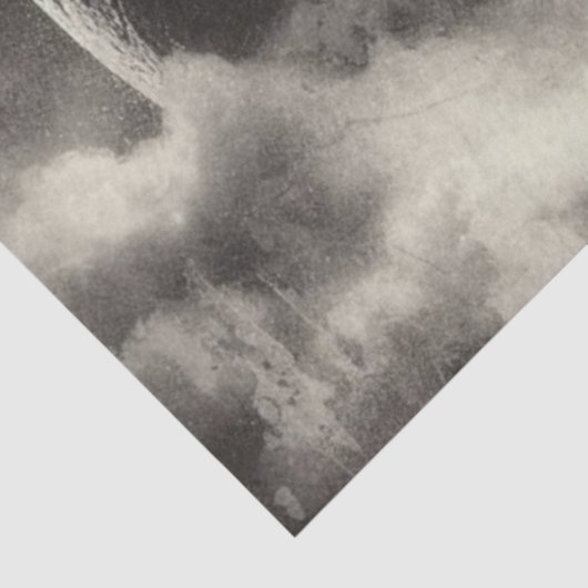 Aurora Moon Wolf Tissuepapier (Detail)