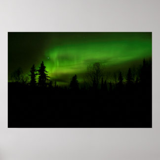 Aurora over Denali-druk Poster