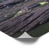 Aurora over een gletsjerlagune poster (Hoek)