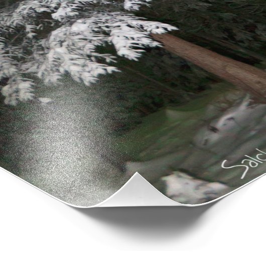 Aurora over het buitenhuis foto afdruk (Hoek)