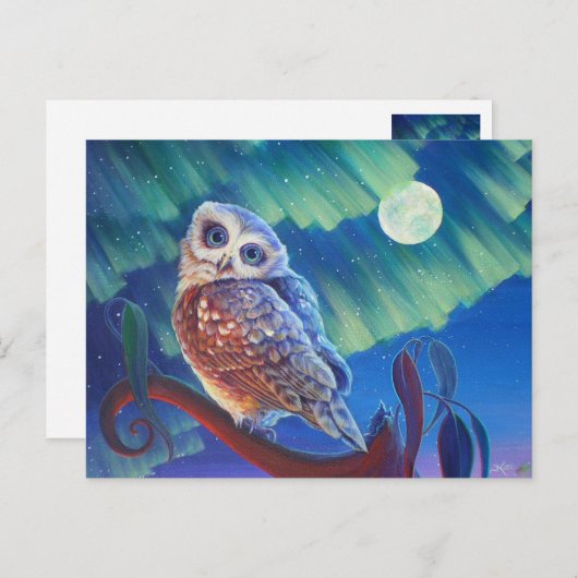 Aurora Owl Briefkaart (Voorkant / Achterkant)