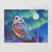 Aurora Owl Briefkaart (Voorkant)