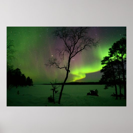 Aurora Poster (Voorkant)