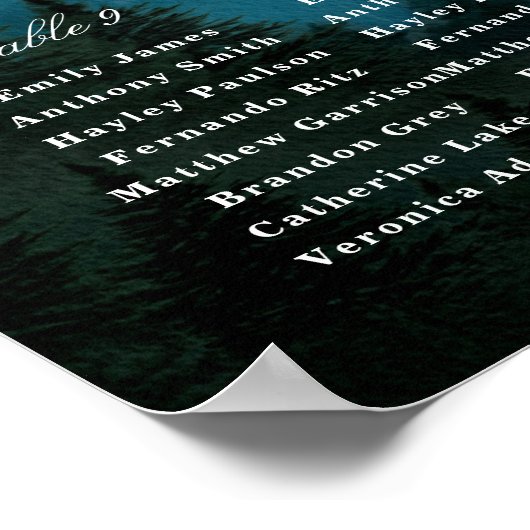 Aurora Zitschaart Poster (Hoek)