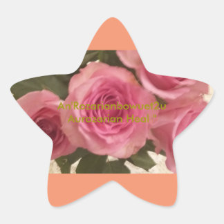 Aurozarian Heal " Ster Sticker