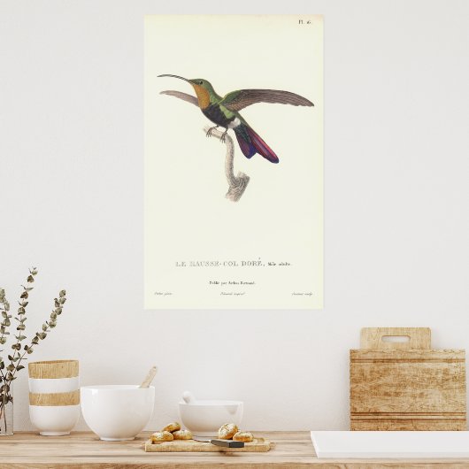 Aurulent Hummingbird door Rene Primevere Lesson Poster (Keuken)