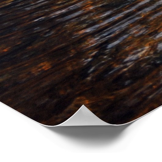 AuSable River in de Adirondacks. 08 092 Poster (Hoek)