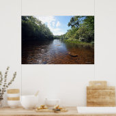 AuSable River in de Adirondacks. 08 092 Poster (Keuken)