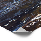 AuSable River in de Adirondacks. druk 08 305 Poster (Hoek)