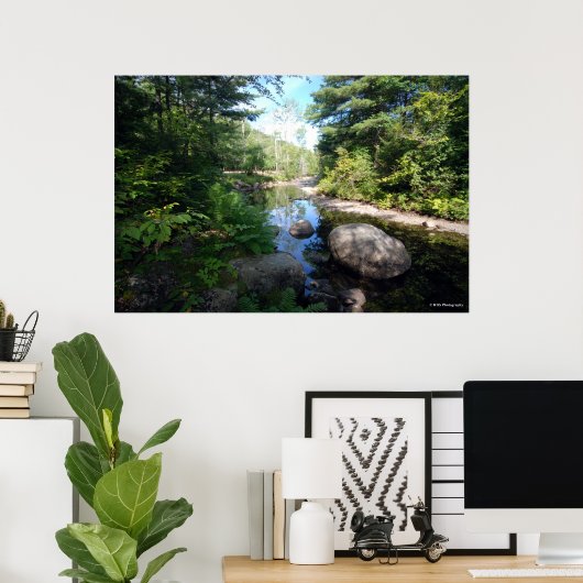 AuSable River in de Adirondacks. print 120 (Thuiskantoor)