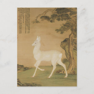 Auspicious Roe Deer Fine Art Briefkaart