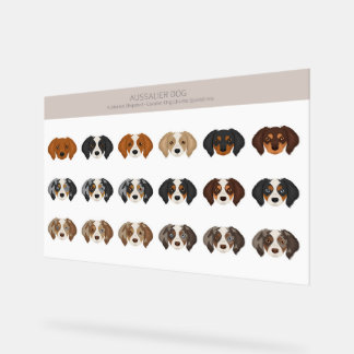 Aussalier hondenmix acryl bord